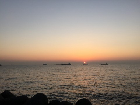 zocai2s8o4uftfkngyhy_480_480-161c7aa5.jpg