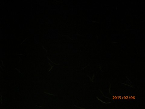 zp2u2othxnb7gtpyzpov_480_480-b11ae8fd.jpg