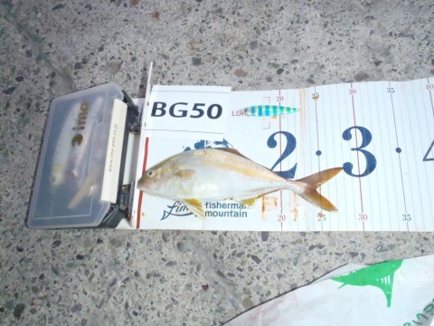 zp5muf52rgxi8vjj89yw_480_480-83e97da7.jpg