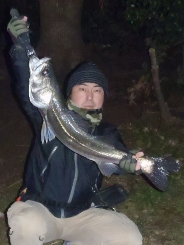 zp66wwsupt2p22hab52n_480_480-63d72427.jpg