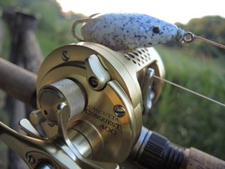 zpf8g4xm6sb88bjoprs8-d3426b58.jpg