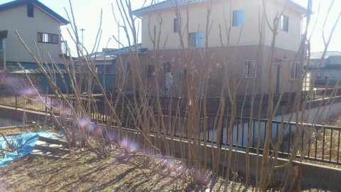 zpmtn8gobkvcj769rrv7_920_518-7a989c57.jpg