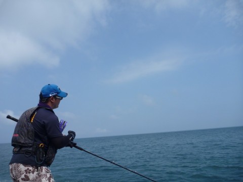 zpn8uh6wcxi4d4gub8bs_480_480-431d1cea.jpg