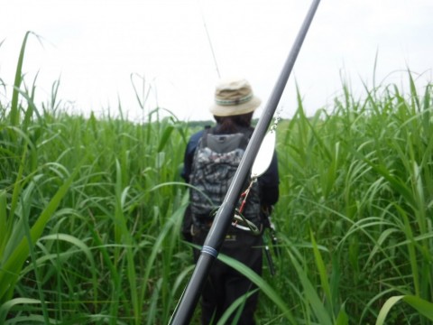 zpraxub3eojp235dredf_480_480-1f6d147e.jpg