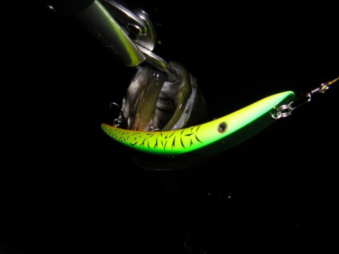zpx7wpx9scidpw3bmg9s_480_480-5366902b.jpg