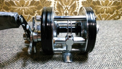 zpztebug64te7odc8xsu_480_480-8c548330.jpg