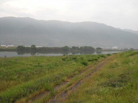 zrbocyvt3dddsmi58y4x_480_480-bd881efd.jpg