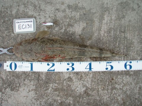 zrha4gtais5f9b86ijvr_480_480-bd23aa94.jpg