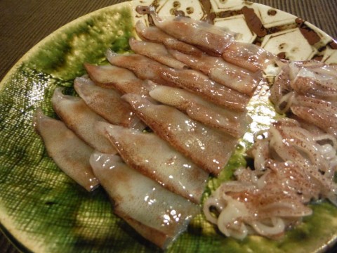 zs48wycbt57ghp7j9rid_480_480-cdcf6c47.jpg