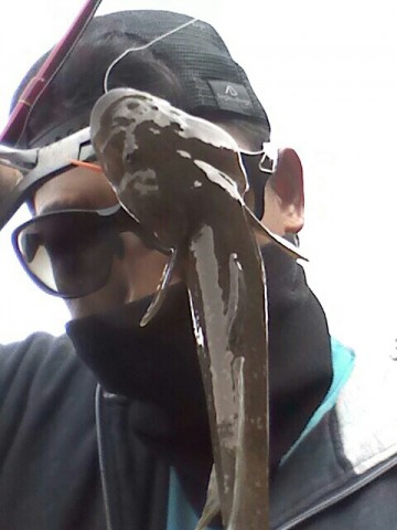 zsb7mmi2ojrjb9fszw67_480_640-65521596.jpg