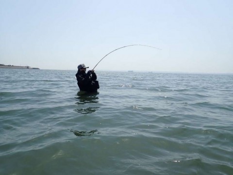 zseny73jfrww2wdar8uf_480_480-f4d86fb8.jpg