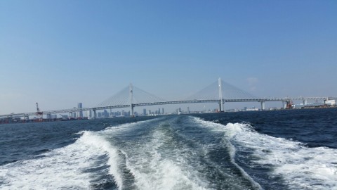 zstk45vbkr9b5wjefudj_920_518-73378546.jpg