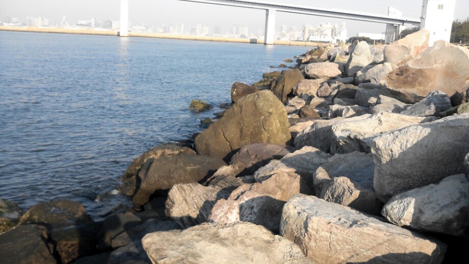 テツのtuesdayシーバス釣行記 久しぶりの若洲 人工磯での釣り