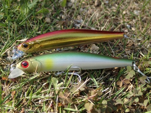 zsyu2ob8o24nrsuktc67_480_480-e395be88.jpg