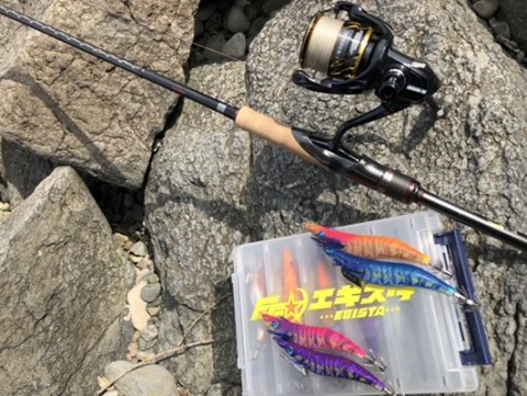 zt34ruo5g4ikvfn7b8yk_480_361-8305ca04.jpg