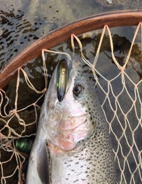zt4n94h5dapmjnkfzwpi_369_480-6135b248.jpg