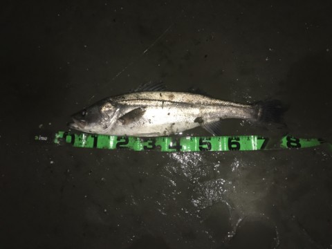 zt4r48gpfdwmesz28t44_920_690-e49a6a3f.jpg