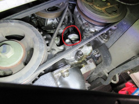 zt5hf8bjbyzpn3pufu9m_480_480-71188ba5.jpg