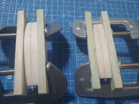 zthr9ak56o9g76zpzs4e_480_480-c2dcc955.jpg