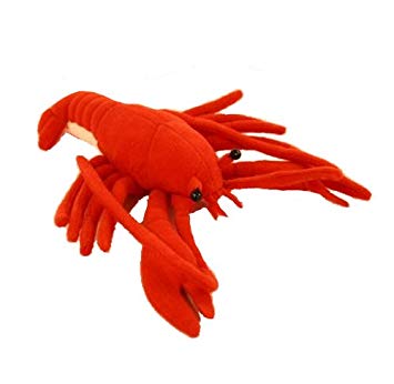 ztt9uamkctfb8diin8my-007d5994.jpg