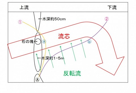 ztxvb7nwtxd2j2poh4g2_480_480-d9bd560e.jpg