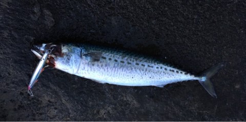 zuak53x67k48jfhf43s4_920_457-380948d3.jpg