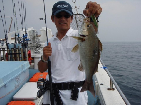 zuekkvi9japjrf6jdarr_480_480-40e2e2ed.jpg