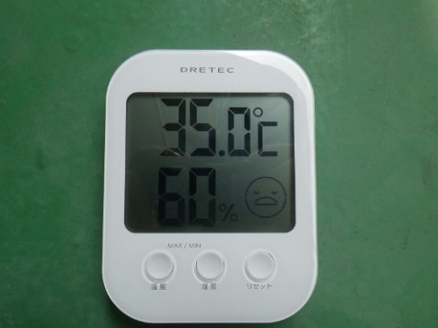 zukvvsi28y9hy6uy9g2u_480_480-b4598300.jpg