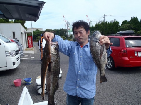 zuonss3c9b8mjjyp3za7_480_480-585f5bf7.jpg