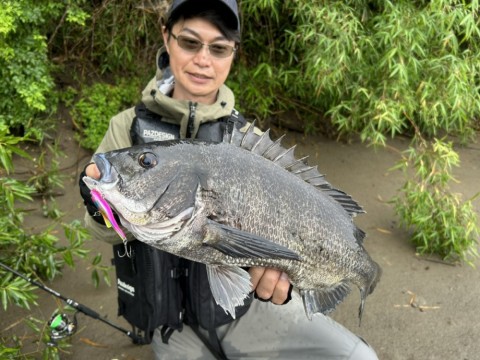 zuuo5tknyc57xwzzm3z3_480_480-a436f3e3.jpg