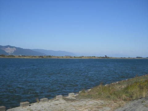 zv422n55uuyhwwddrepd_480_480-7a052c5f.jpg