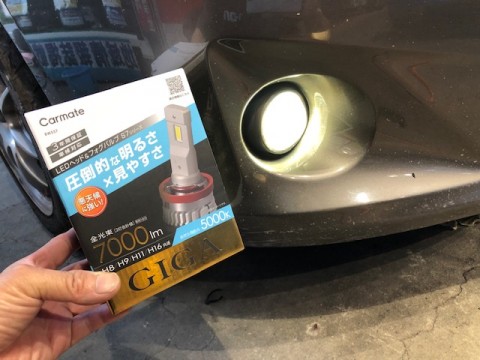 zv62whsgkxkt9gsusrsc_480_480-d084aa8a.jpg