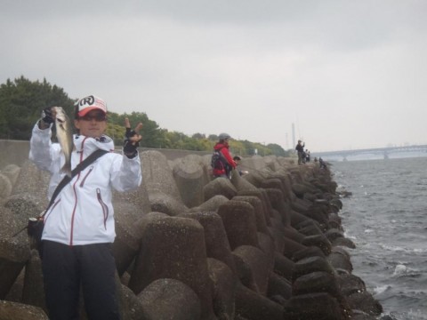 zv7fbjykm6fbzs7e5fbj_480_480-db4d44ce.jpg