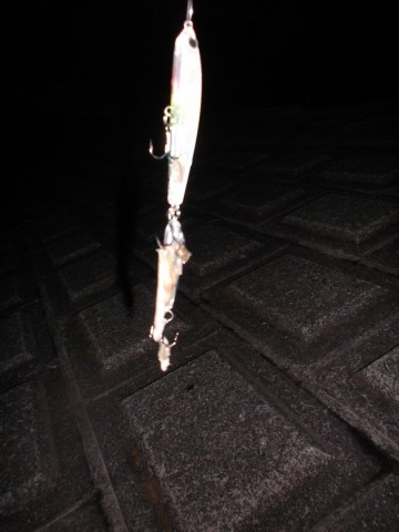 zvhb5dc2vzbtrjwcrt63_480_480-fddf4abf.jpg
