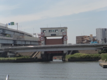 zvo66nuj38xsyr474ju4-1f08f044.jpg
