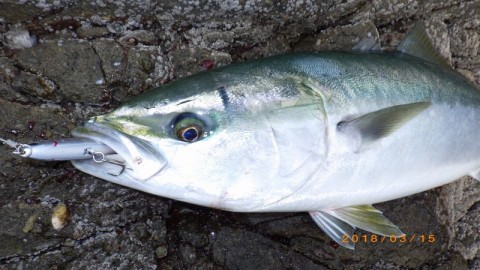 zw36m45zeeps8xzjhj84_480_480-2096a241.jpg