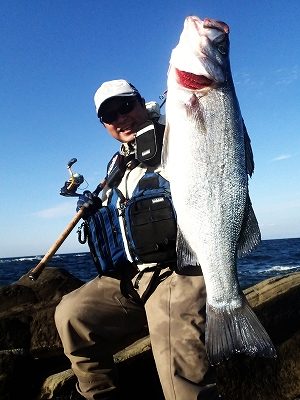 zwimvemphish865u3sa3-77575e03.jpg