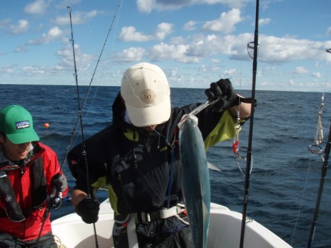 zwtxnniecchkysu8ojhg_480_480-cae95838.jpg