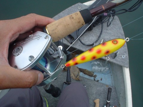 zww364efst2657rmw9k8_480_480-be708f10.jpg