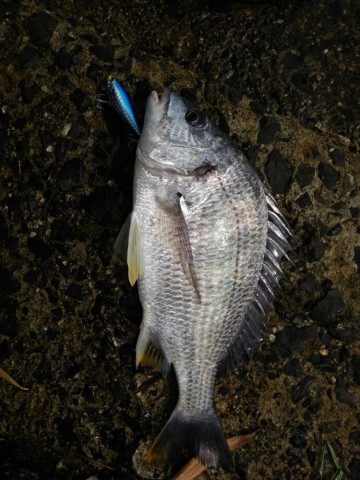 zx9n9jhxdkfj6vdjnykf_690_920-0b8e1759.jpg