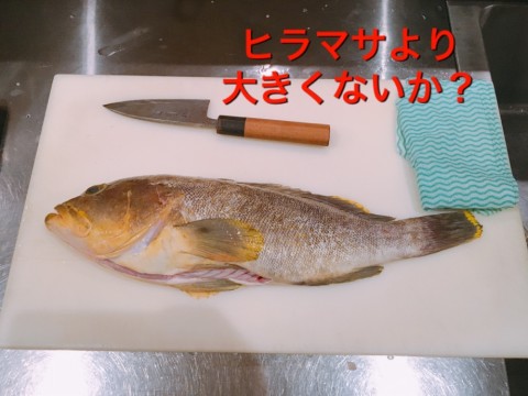 zxbzkx8efgp2r2n7ayxm_920_690-1df686ed.jpg