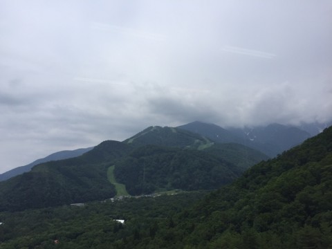 zxgghs8oy9oyo8cgvoow_920_690-394ac927.jpg