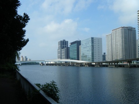 zxnrfghyz9n3d4w2s2hy_480_480-2acdb7e6.jpg