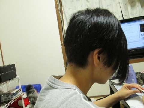 zxx9vbcb9gys3ukvn223_480_480-bd662a0e.jpg