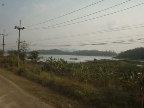 zy6y247vur2hsdycmg96_480_480-f0531500.jpg