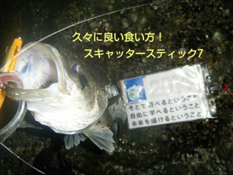 zyf79yotawnwy6aej42n_920_690-24d26c79.jpg