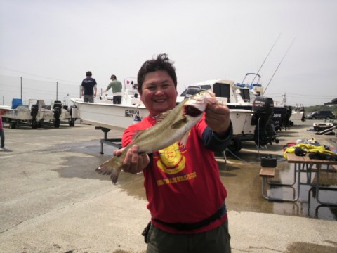 zyx4jfia96h5jhzxwts7_480_480-28c88b63.jpg