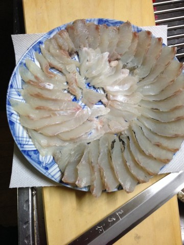 zzdfmo55jmprywy3jtp2_480_480-9e87409b.jpg