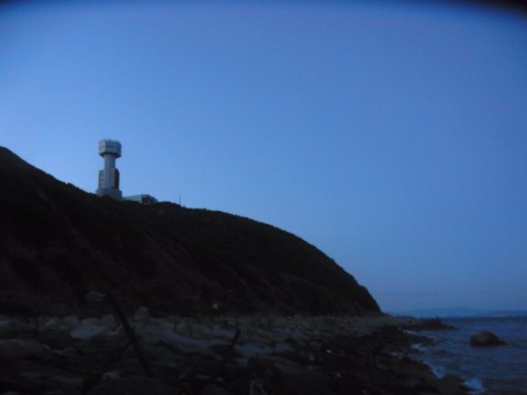 zziphhfhptbisvcpj6cu_480_480-64d86158.jpg