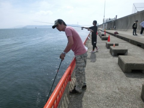zzkg8gidow2p6cwccyjs_480_480-dcd09429.jpg